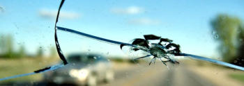 windshield repair